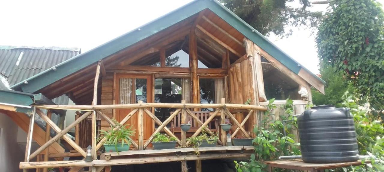 Eco Creations Wooden Cottage نوفارا إيلِيا المظهر الخارجي الصورة